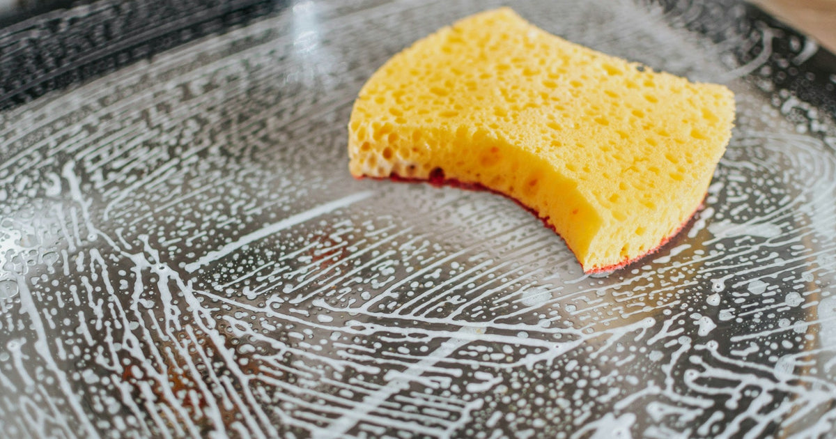 Sponge Check The Filthy Truth About Your Kitchen Sponge: Why It' – UVCeed