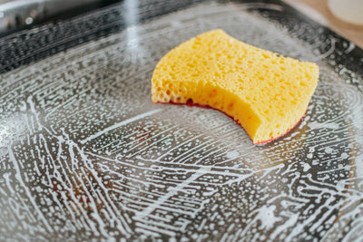 The Filthy Truth About Your Kitchen Sponge: Why It's Dirtier Than Your Toilet Seat