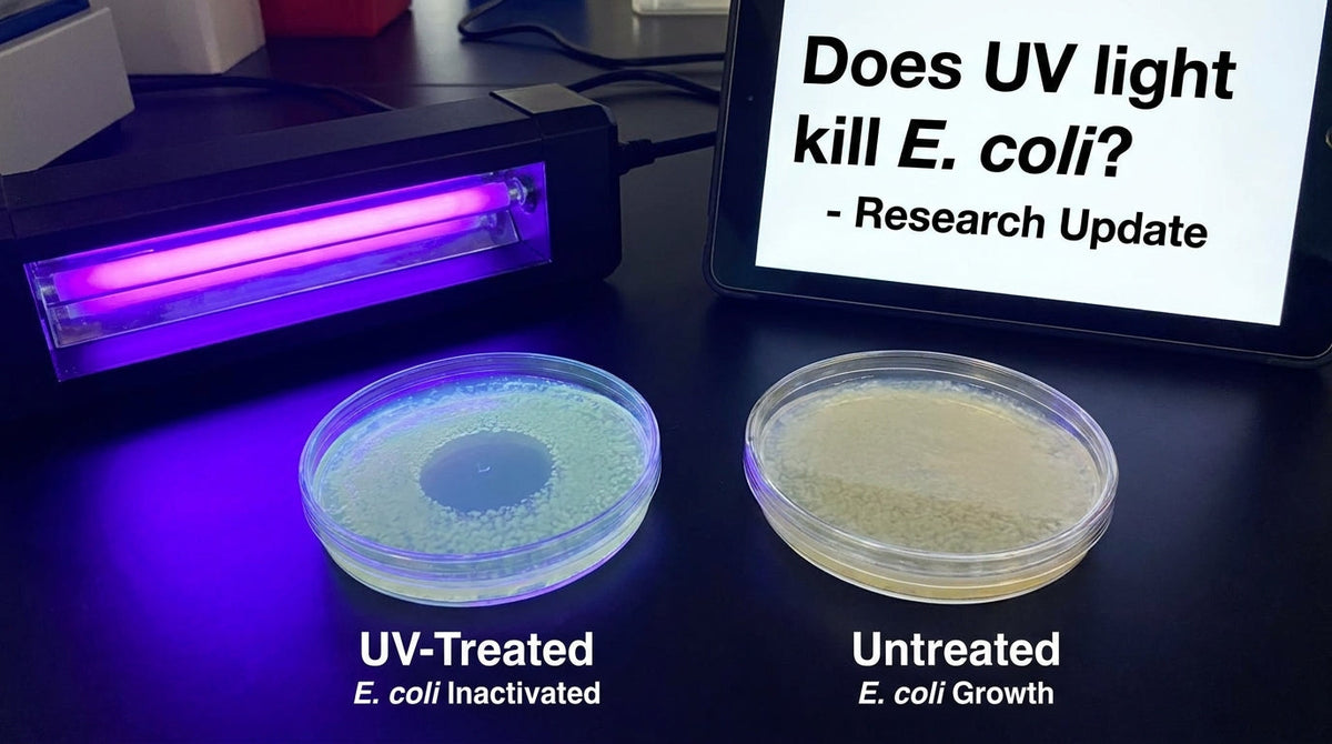 Does UV light kill E. coli? The direct answer, and the three places it actually matters in your kitchen