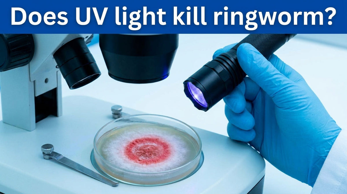 Does UV light kill ringworm? The surface answer for pet owners, gyms, and parents