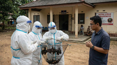 Nipah Virus: The Pandemic Threat You Haven't Heard Enough About