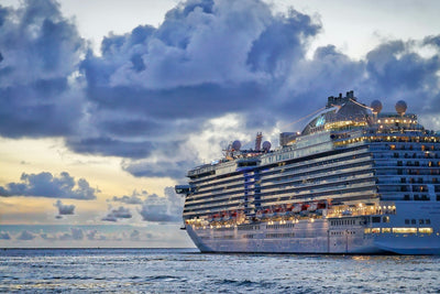 A Cruise Ship Just Had Its Third Stomach-Illness Outbreak in Two Months. Here's What Frequent Cruisers Are Doing About It.