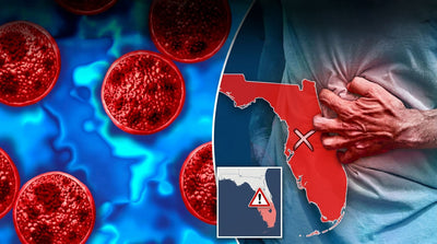 Florida Just Reported Its First Flesh-Eating Bacteria Death of 2026. Here's What You Need to Know About Vibrio vulnificus.