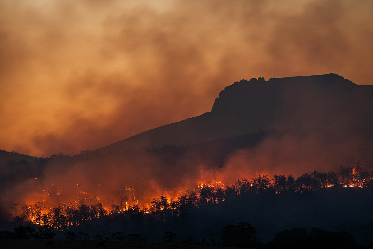 Wildfire Smoke Season 2026: Closed Windows Are Amplifying Indoor Pathogens