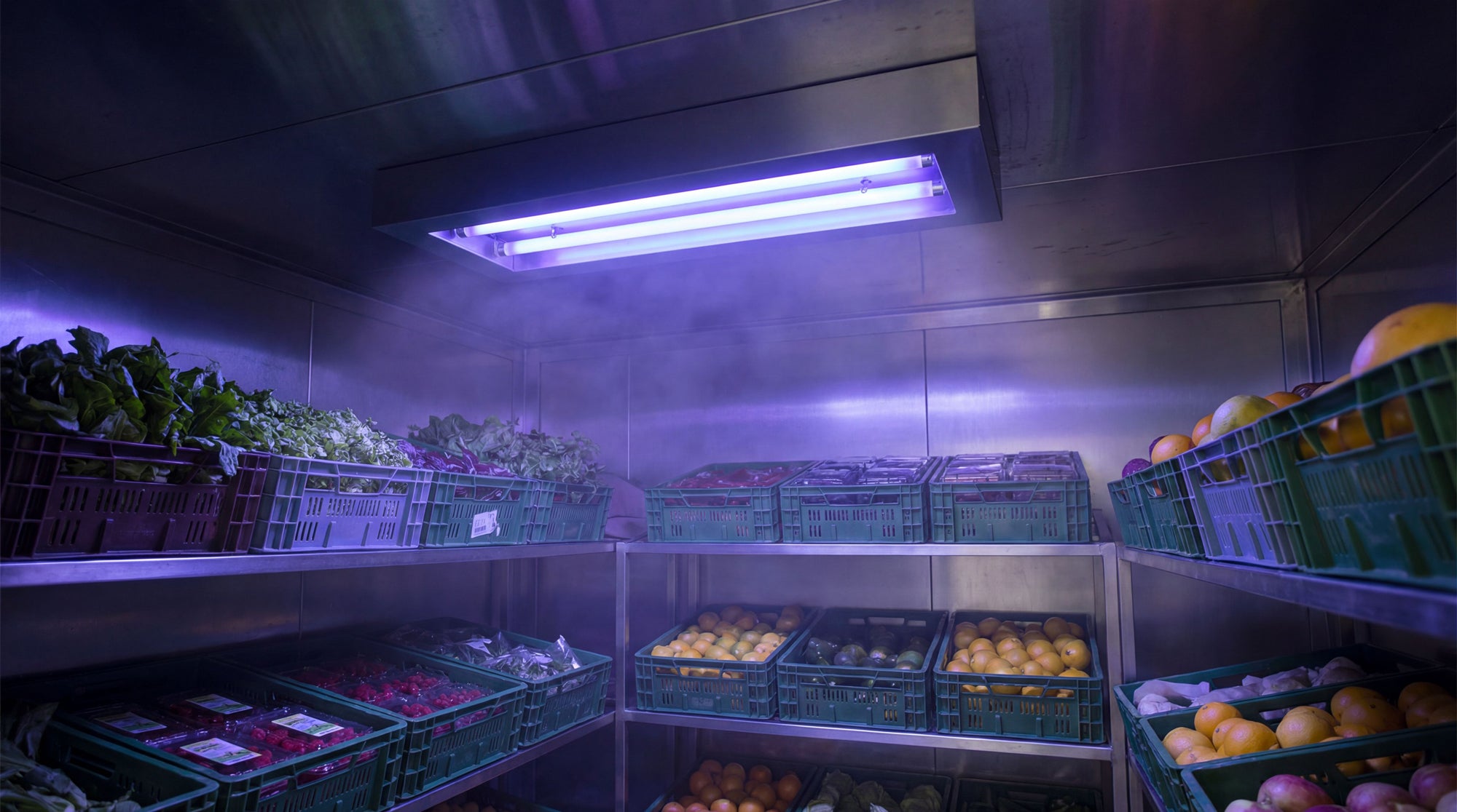 Walk-in freezer and food service disinfection